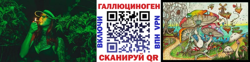 наркота  blacksprut tor  Псилоцибиновые грибы GOLDEN TEACHER  Феодосия 